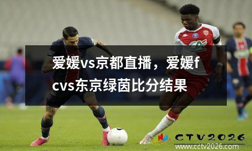 爱媛vs京都直播，爱媛fcvs东京绿茵比分结果