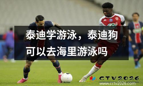 泰迪学游泳，泰迪狗可以去海里游泳吗