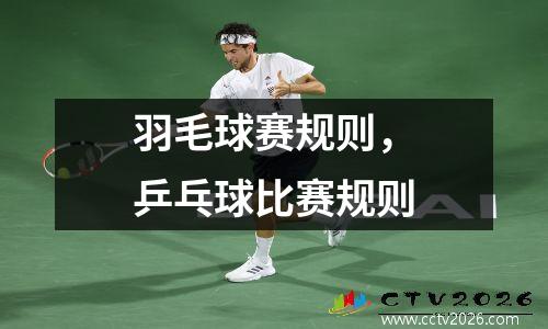 羽毛球赛规则，乒乓球比赛规则