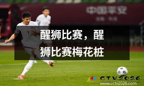 醒狮比赛，醒狮比赛梅花桩