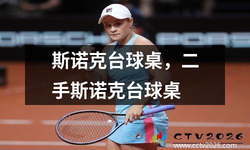 斯诺克台球桌，二手斯诺克台球桌