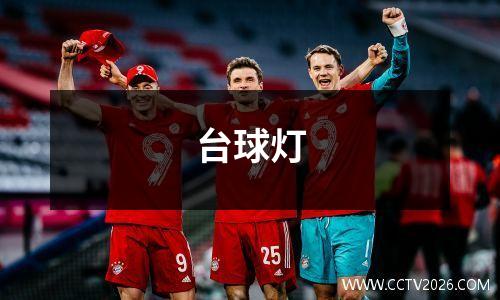 台球灯