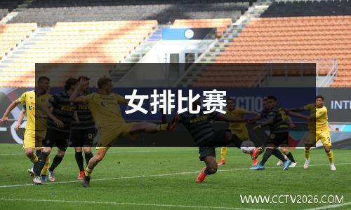 女排比赛