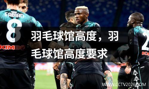 羽毛球馆高度，羽毛球馆高度要求