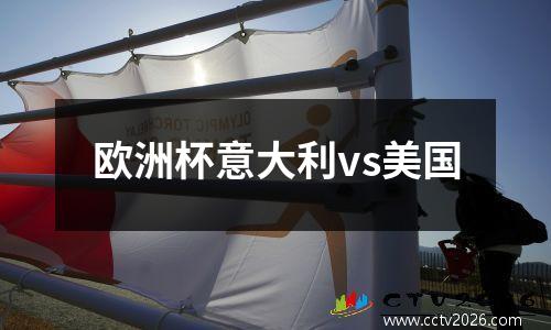 欧洲杯意大利vs美国