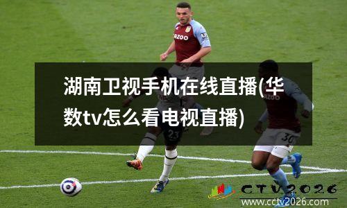 湖南卫视手机在线直播(华数tv怎么看电视直播)