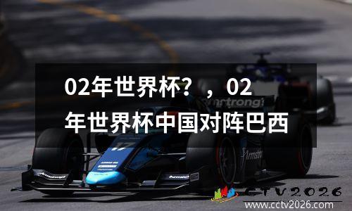 02年世界杯？，02年世界杯中国对阵巴西
