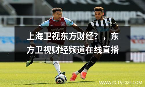 上海卫视东方财经？，东方卫视财经频道在线直播