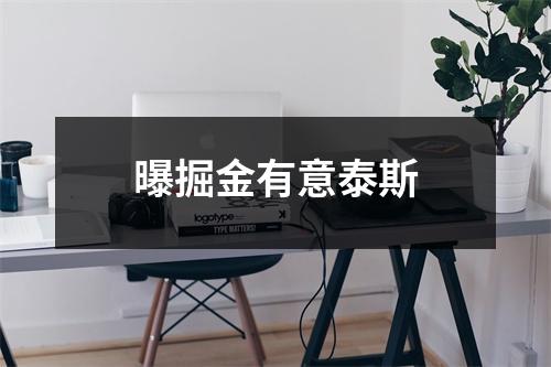 曝掘金有意泰斯