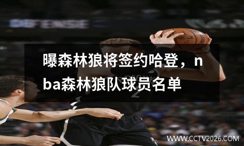 曝森林狼将签约哈登，nba森林狼队球员名单