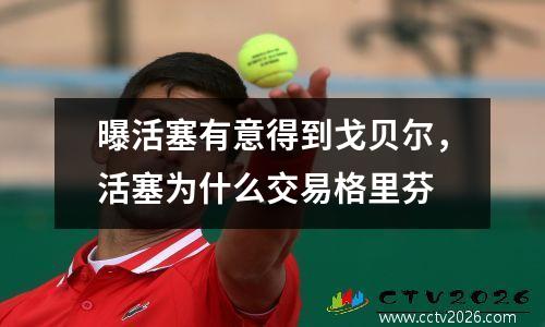 曝活塞有意得到戈贝尔，活塞为什么交易格里芬