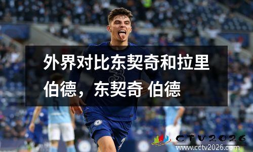 外界对比东契奇和拉里伯德，东契奇 伯德