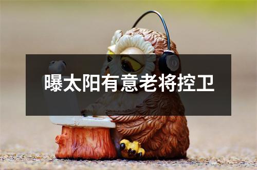 曝太阳有意老将控卫