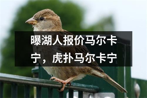 曝湖人报价马尔卡宁，虎扑马尔卡宁