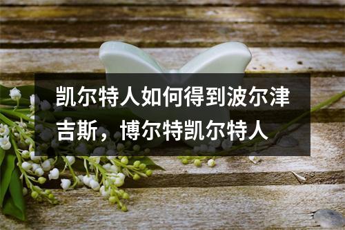 凯尔特人如何得到波尔津吉斯，博尔特凯尔特人