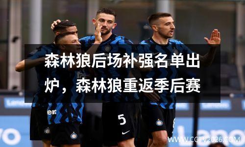 森林狼后场补强名单出炉，森林狼重返季后赛