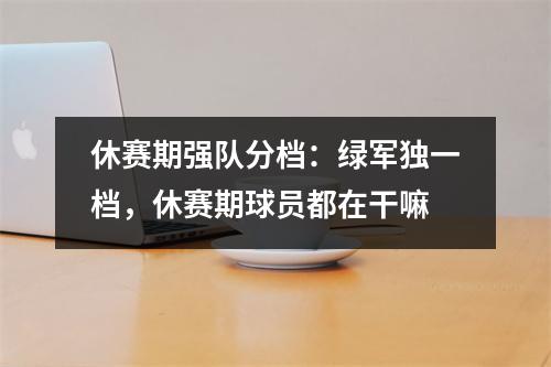 休赛期强队分档：绿军独一档，休赛期球员都在干嘛