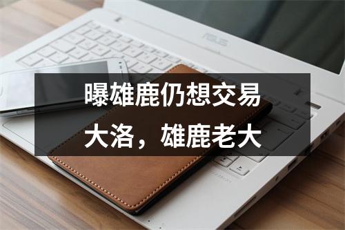 曝雄鹿仍想交易大洛，雄鹿老大