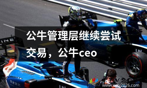 公牛管理层继续尝试交易，公牛ceo