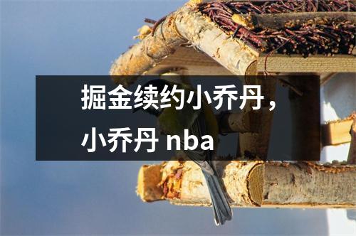 掘金续约小乔丹，小乔丹 nba