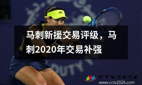 马刺新援交易评级，马刺2020年交易补强