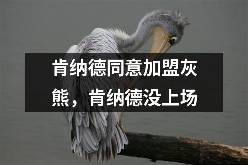 肯纳德同意加盟灰熊，肯纳德没上场
