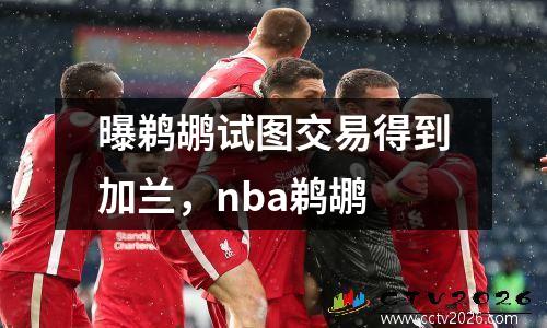 曝鹈鹕试图交易得到加兰，nba鹈鹕