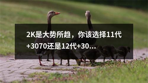 2K是大势所趋，你该选择11代+3070还是12代+3060？雷神零比较