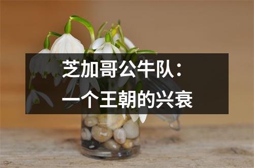 芝加哥公牛队：一个王朝的兴衰