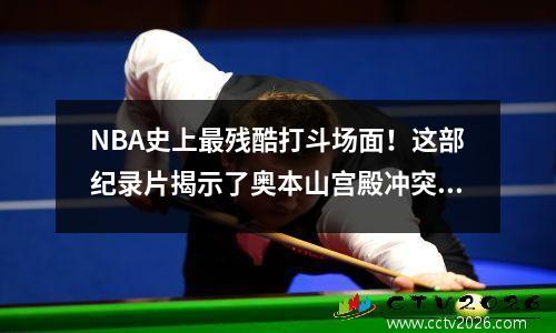 NBA史上最残酷打斗场面！这部纪录片揭示了奥本山宫殿冲突之谜
