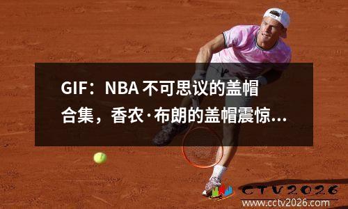 GIF：NBA 不可思议的盖帽合集，香农·布朗的盖帽震惊了科比