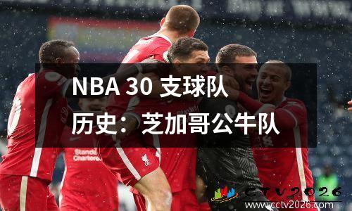 NBA 30 支球队历史：芝加哥公牛队