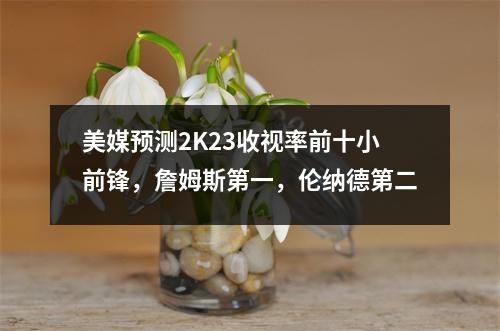 美媒预测2K23收视率前十小前锋，詹姆斯第一，伦纳德第二