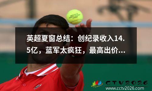 英超夏窗总结：创纪录收入14.5亿，蓝军太疯狂，最高出价仅6500万