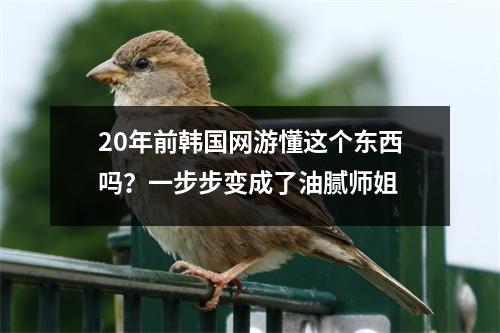 20年前韩国网游懂这个东西吗？一步步变成了油腻师姐