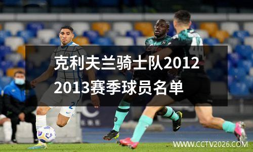克利夫兰骑士队20122013赛季球员名单