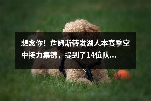 想念你！詹姆斯转发湖人本赛季空中接力集锦，提到了14位队友