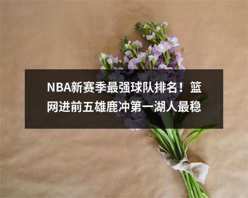 NBA新赛季最强球队排名！篮网进前五雄鹿冲第一湖人最稳