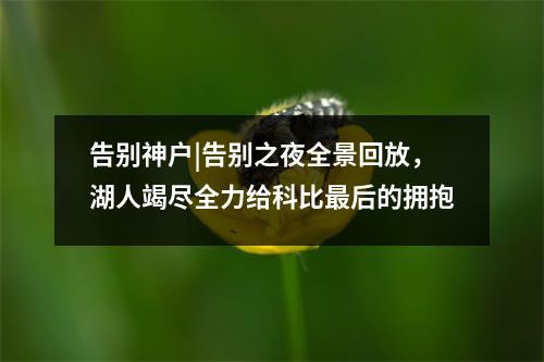 告别神户|告别之夜全景回放，湖人竭尽全力给科比最后的拥抱