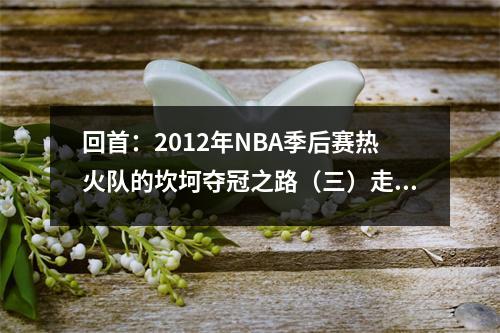 回首：2012年NBA季后赛热火队的坎坷夺冠之路（三）走向总冠军