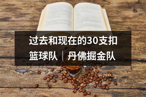 过去和现在的30支扣篮球队｜丹佛掘金队
