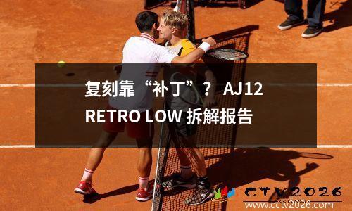 复刻靠“补丁”？ AJ12 RETRO LOW 拆解报告