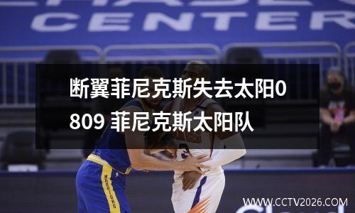 断翼菲尼克斯失去太阳0809 菲尼克斯太阳队