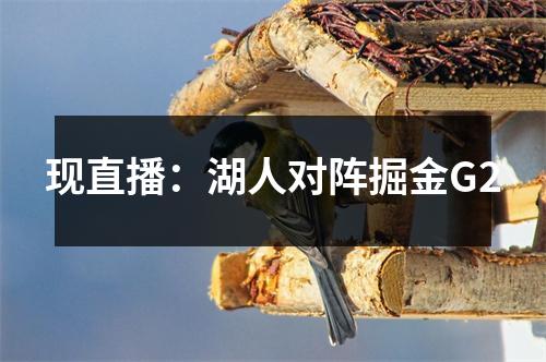 现直播：湖人对阵掘金G2