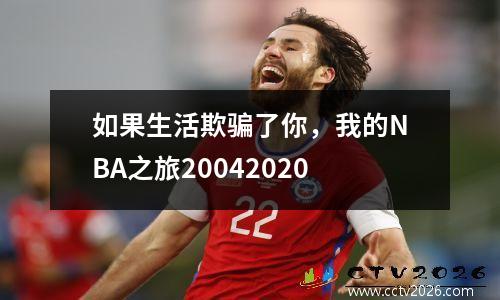 如果生活欺骗了你，我的NBA之旅20042020