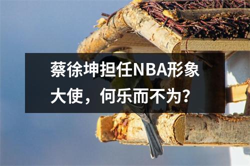 蔡徐坤担任NBA形象大使，何乐而不为？