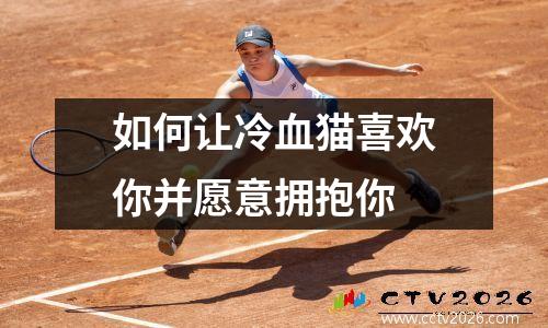 如何让冷血猫喜欢你并愿意拥抱你