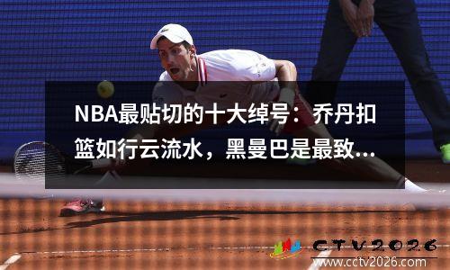 NBA最贴切的十大绰号：乔丹扣篮如行云流水，黑曼巴是最致命杀手