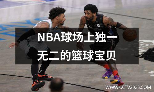 NBA球场上独一无二的篮球宝贝