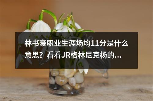 林书豪职业生涯场均11分是什么意思？看看JR格林尼克杨的数据你就明白了